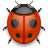 bug.png